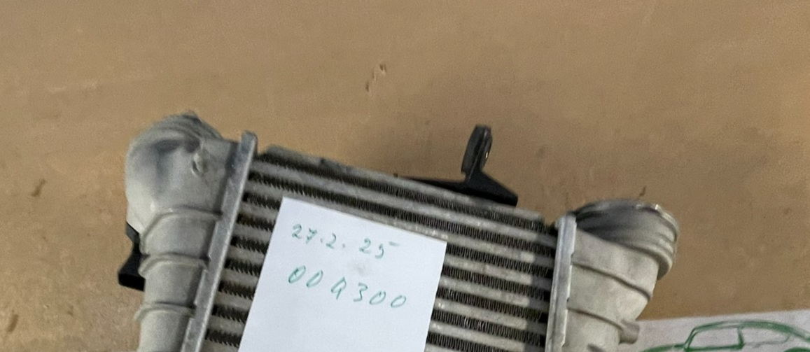 Image #16