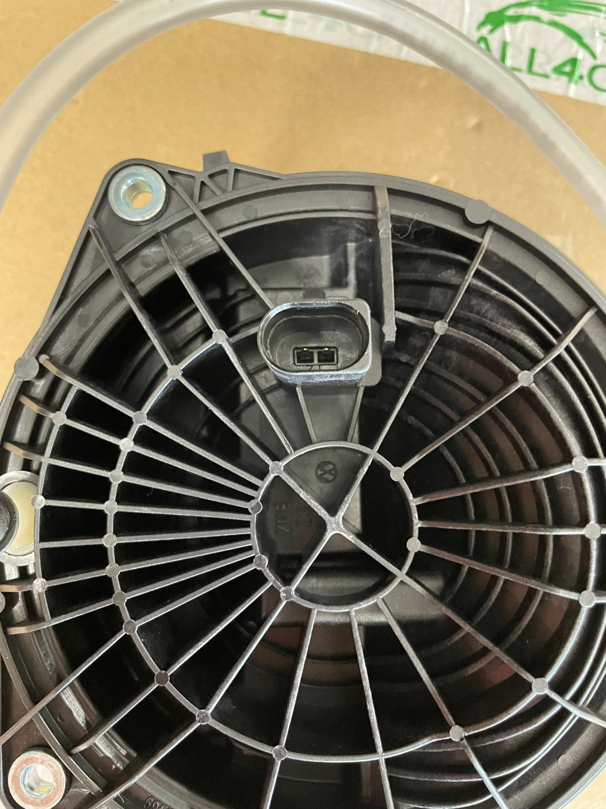 Image #13