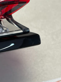 Image #12