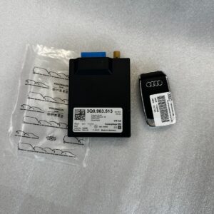 AUDI WEBASTO TELESTART STEUERGERÄT 3Q0963513 + FERNBEDIENUNG AUDI ORIGINAL NEU!!